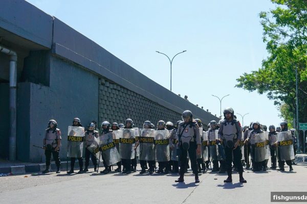 捕鱼达人千炮版风险提示：游戏平台用户协议中的隐藏条款与应对策略