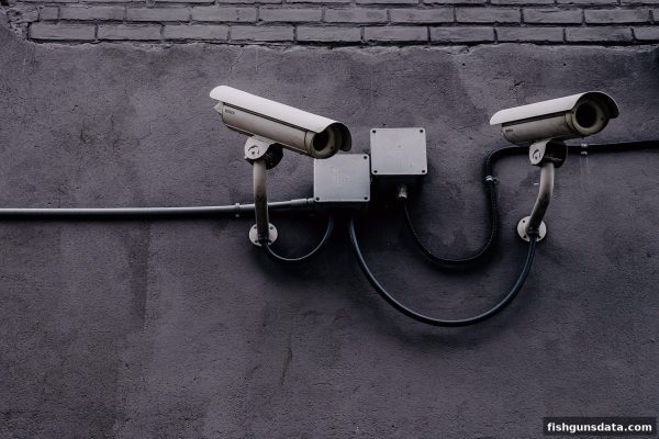 辨别不良游戏的核心特征及安全下载指南：以「捕鱼达人千炮版」为例